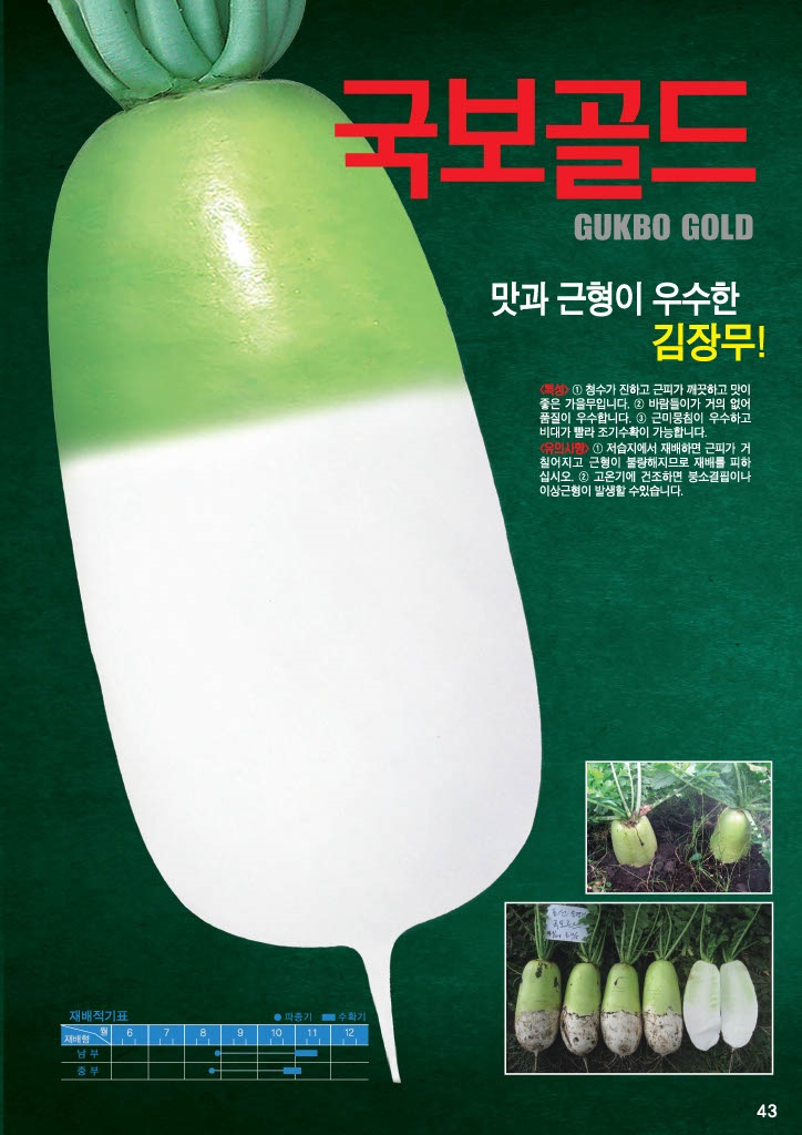 농업회사법인 (주)초록들 행복찬미 마늘쫑간장절임 320G 썸네일 3