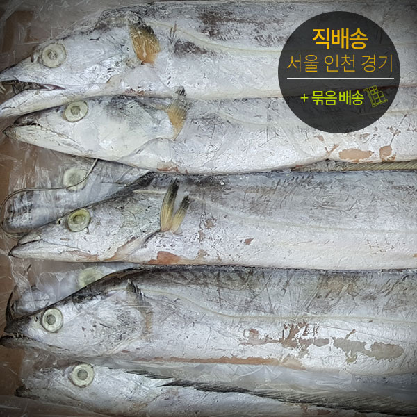 갈치절단10kg박스 세네갈 썸네일 2