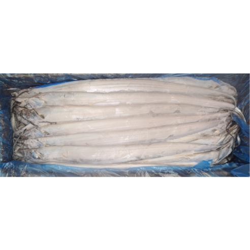 갈치절단10kg(남아공)박스 썸네일 2