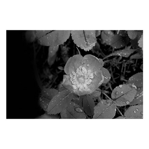 동그랗게 말린 미니수건 썸네일 3