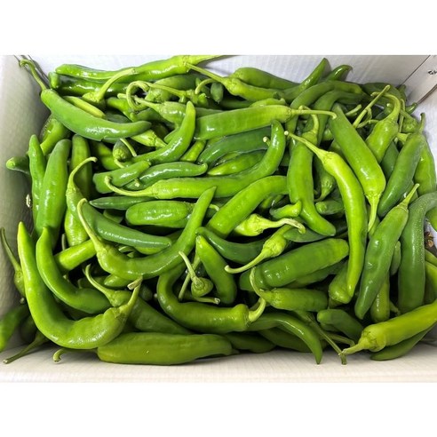 ㈜한스비앤에프 아삭이고추 1kg 썸네일 2