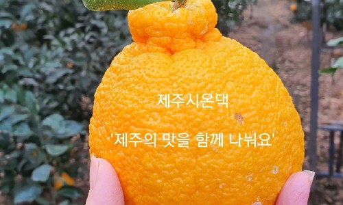 자연원 무농약 감귤로 만든 음료 썸네일 2
