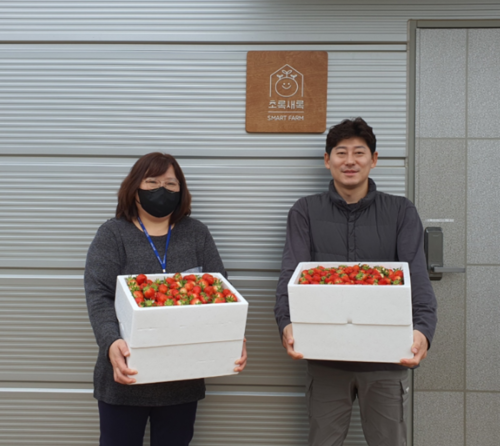 하나향료 딸기955 20kg 썸네일 2