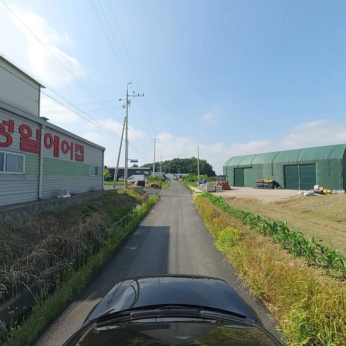 학교애치즈떡누드순대 썸네일 3