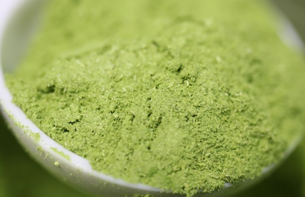 녹차미숫가루 썸네일 2