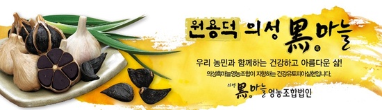 새의성농협흑마늘진액(파우치) 썸네일 2
