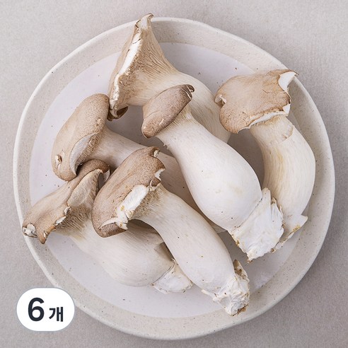 참맛나라 홈플러스 좋은상품 버섯잡채_600g 600G x 1EA 썸네일 3