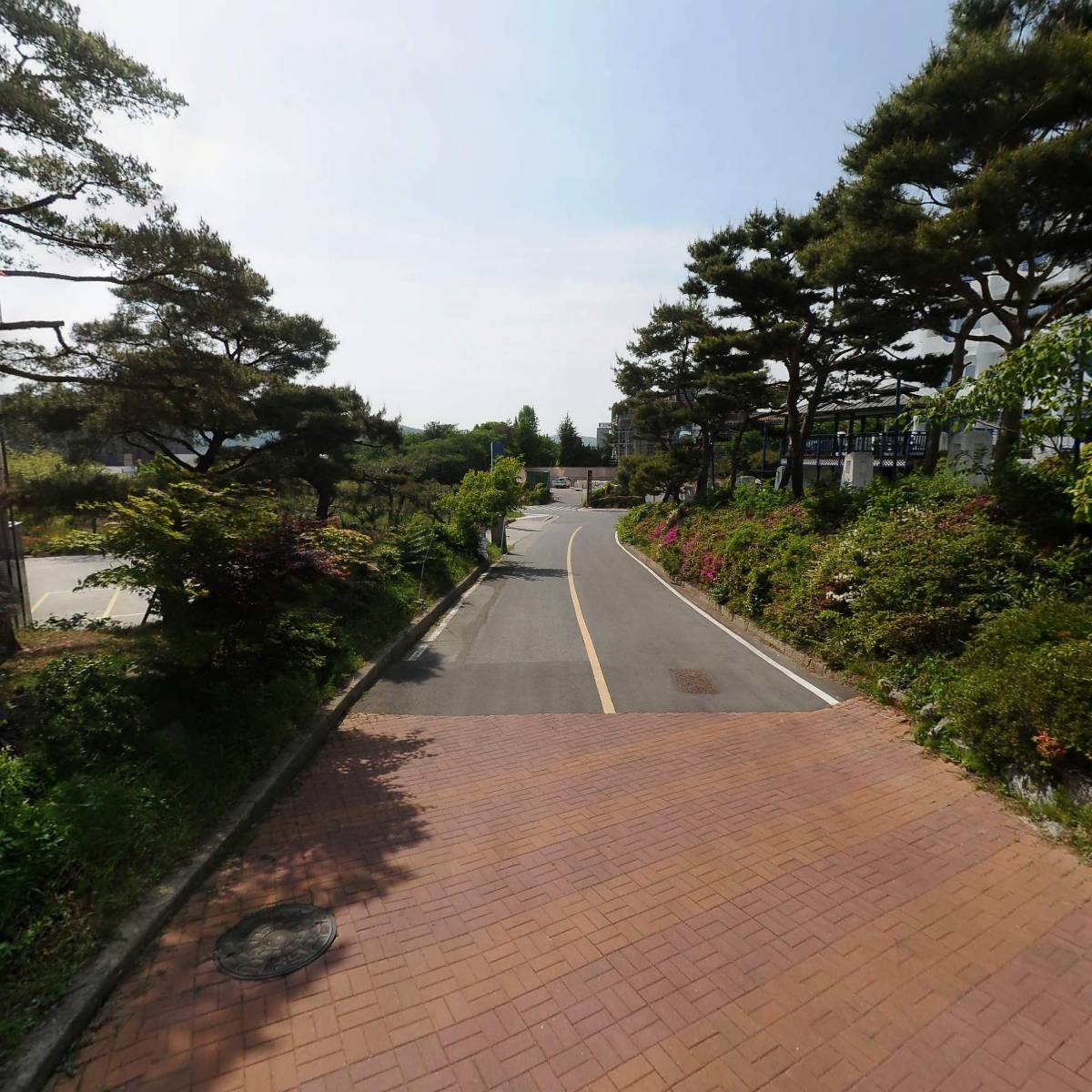 한라산산양산삼청 썸네일 2