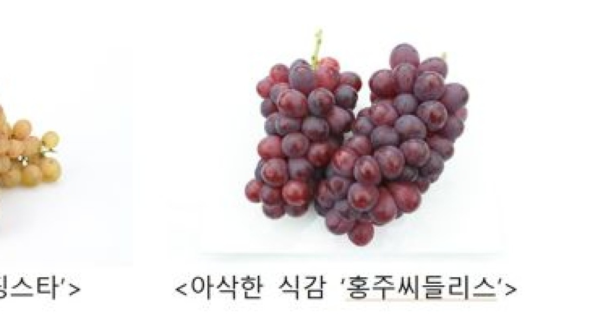 롱스트레치쮸/포도 썸네일 3
