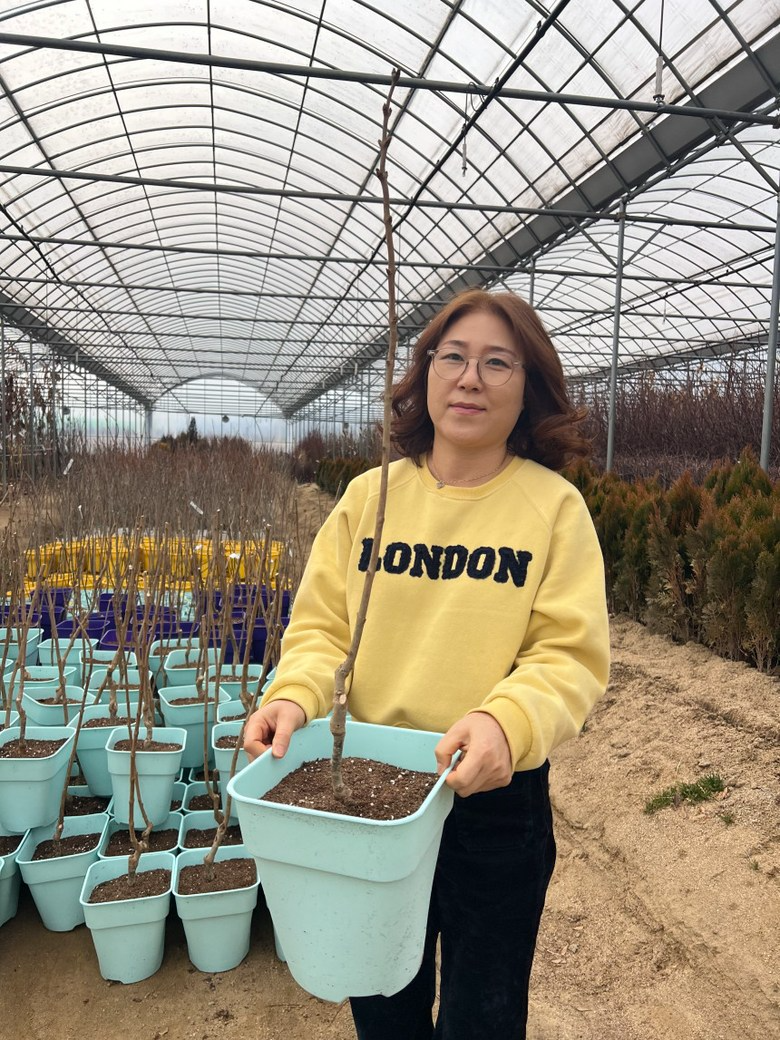 홍화원(주)농업회사법인 지리산인진쑥환 썸네일 2