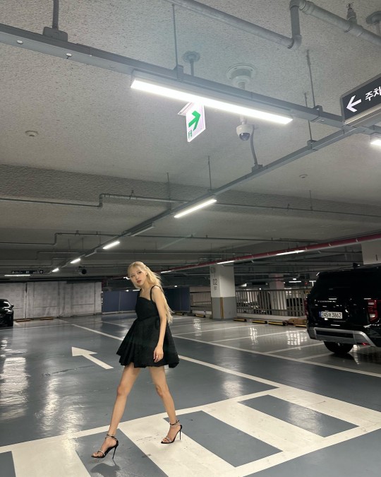 로제스트레스볼 미니 썸네일 3