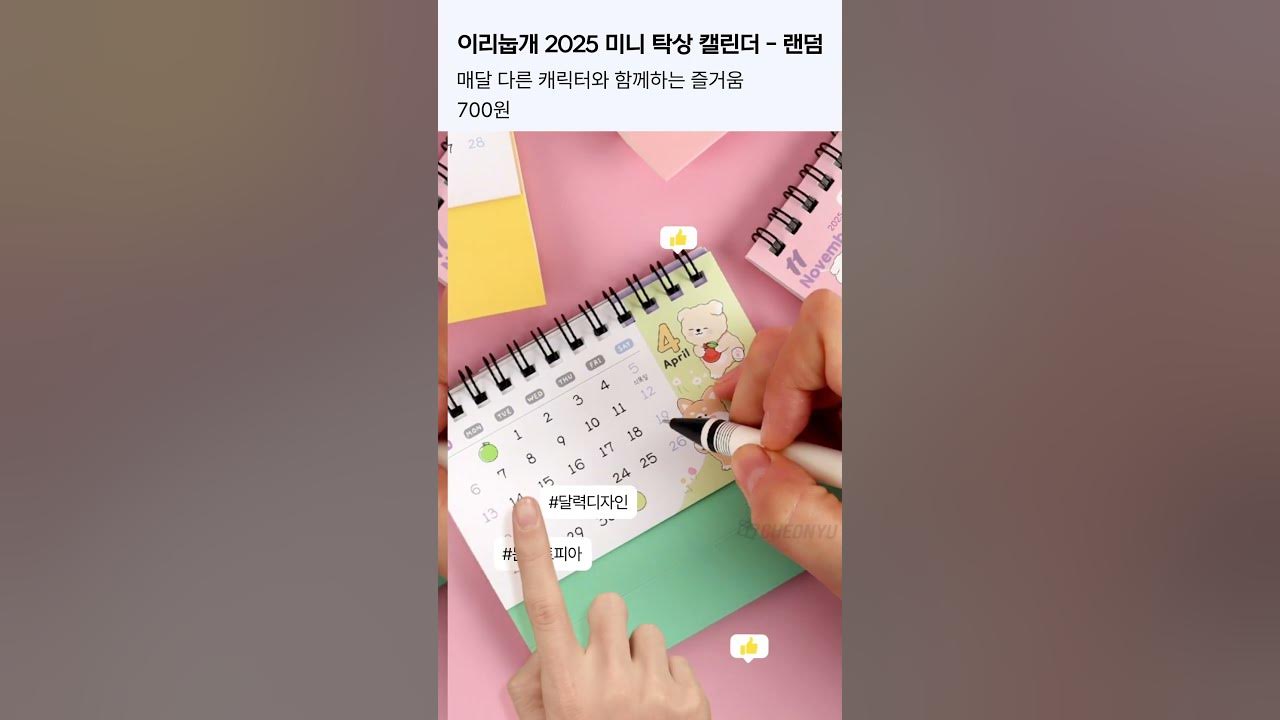 2025. 이리눕개 감성캐리더 썸네일 2