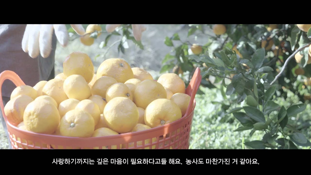 롯데제과 팜온더로드 초코호두 84G 썸네일 3