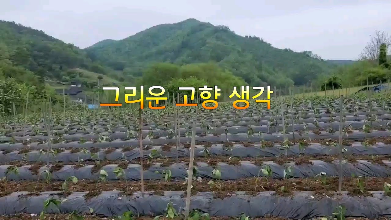 호박죽200g 썸네일 3