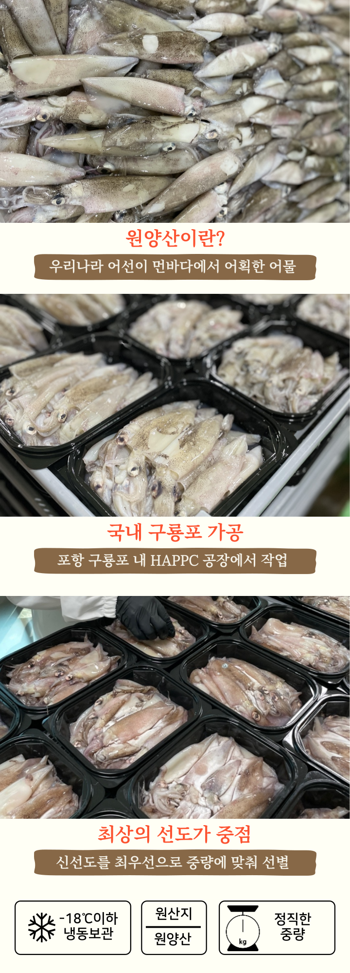 제주일품수산 소매한치 1kg 썸네일 2