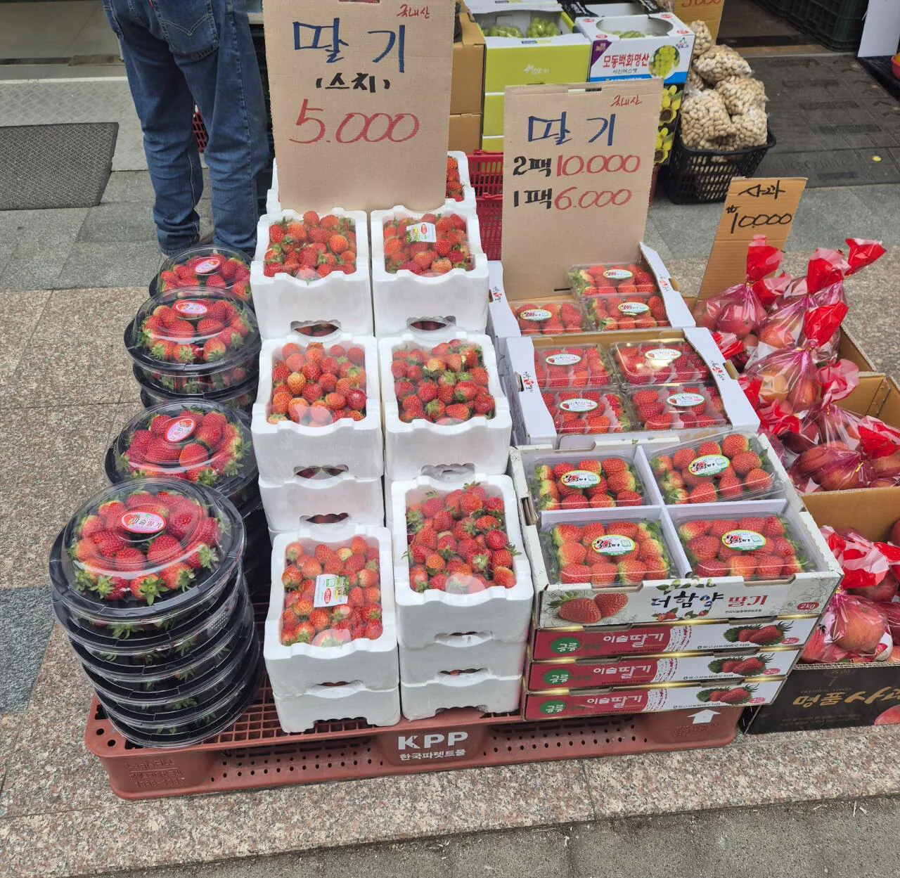 하동찰빵(딸기) 썸네일 2