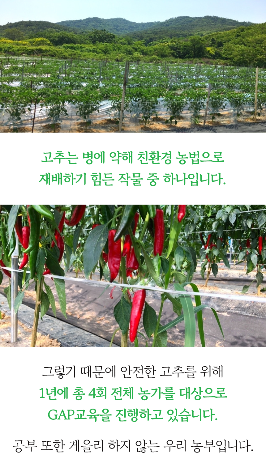 (주)백제영농조합법인 햇살마니고춧가루 혼합(중국70:한국30) 1kg 썸네일 2