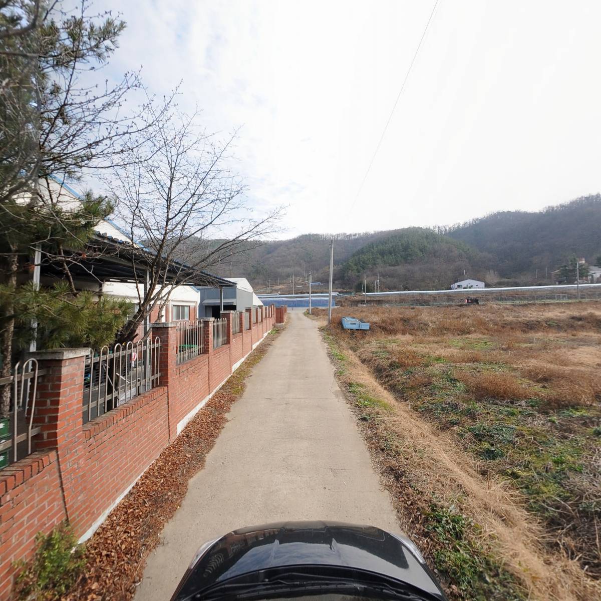 서천산재래김 썸네일 2