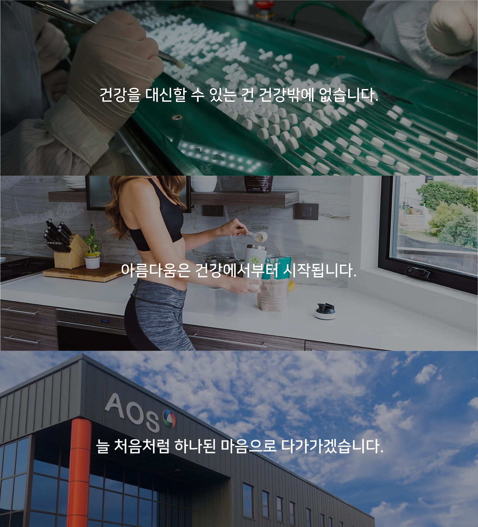 복분자비타미  500gx1ea 썸네일 2