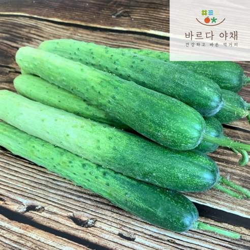 야채모듬지10kg 썸네일 3