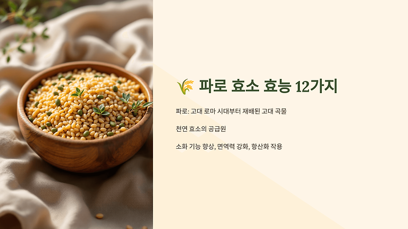 (주)해나눔 행복을 만드는 효소 - 닥터자임 본 썸네일 2