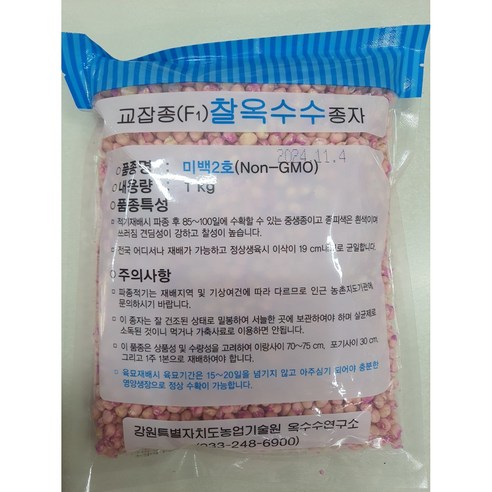 홍천찰옥수수(미백알곡)1KG 썸네일 2