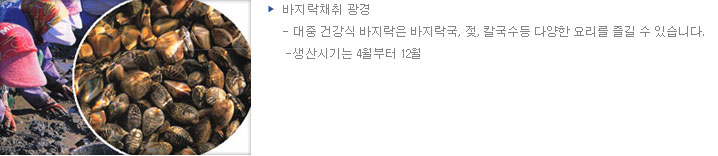 구운맛돌김 썸네일 3