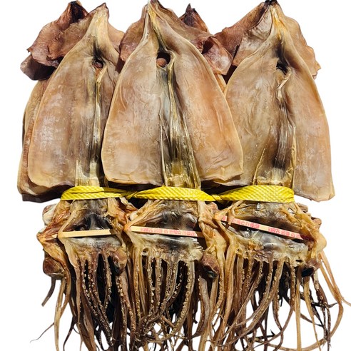 오징어할복(탈피) 5kg(실량4.5kg) 썸네일 3