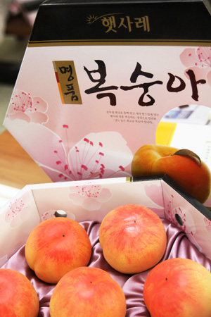 복숭아 플러스 제주망고 1.5L 썸네일 2