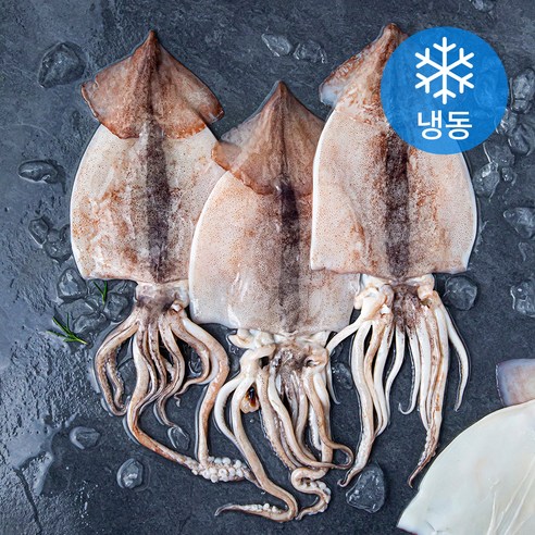 (주)다나식품 다나 불고기구이오징어700g 700G x 1EA 썸네일 2
