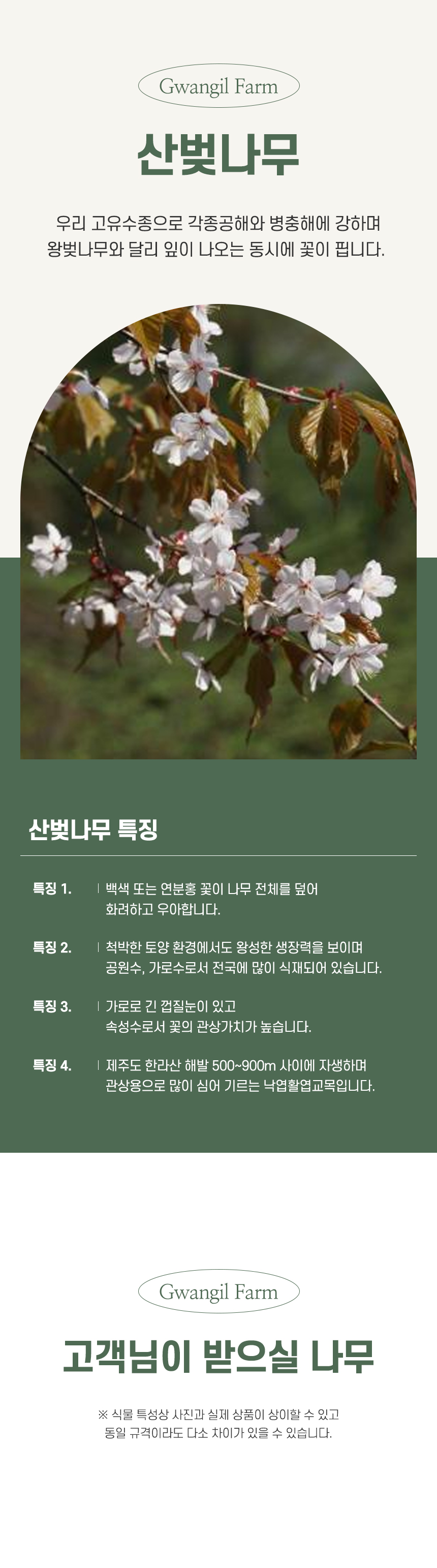 홍화원(주)농업회사법인 동의향지리산인진쑥환 100G 썸네일 3