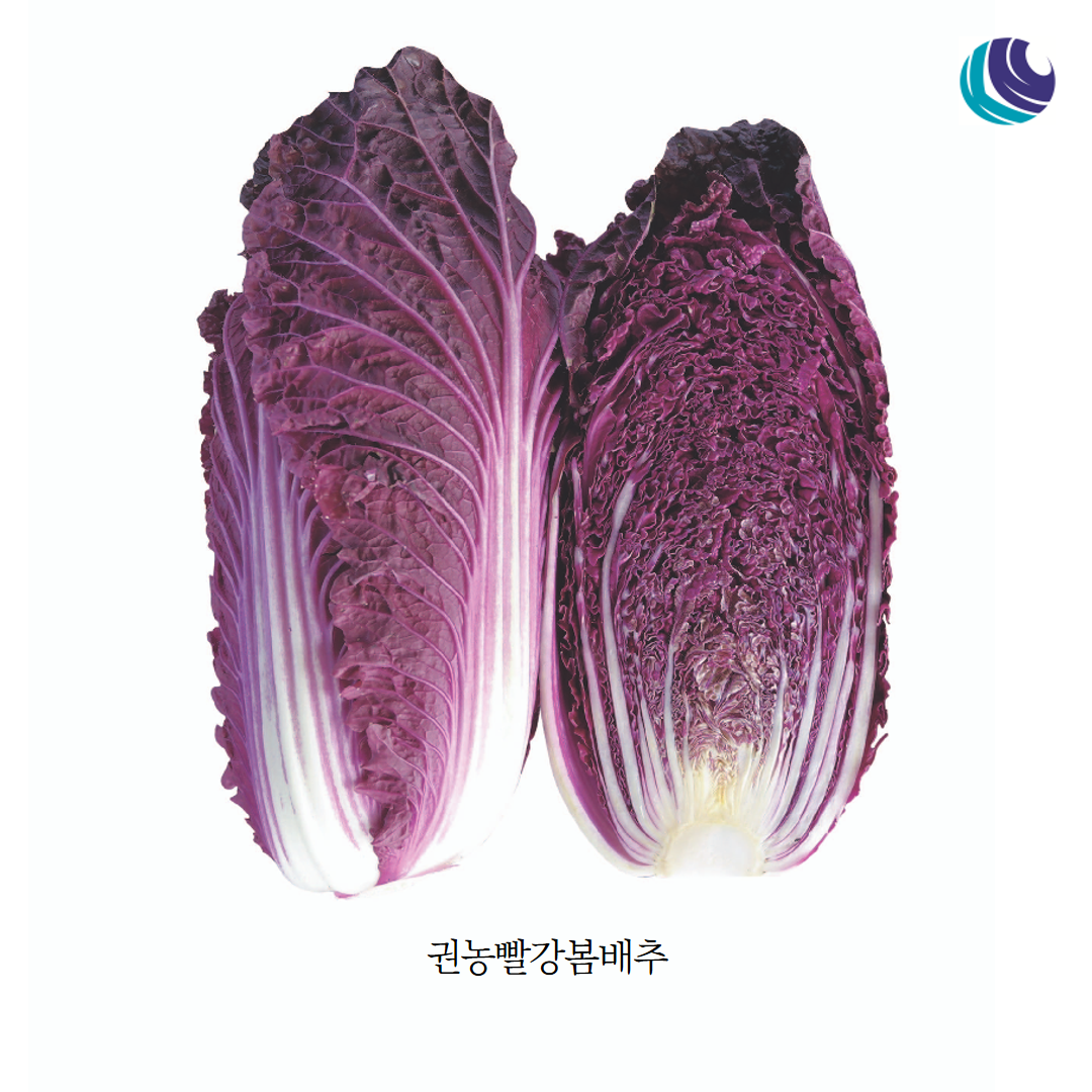 해남배추㈜ 해남참 고들빼기 3000G x 1EA 썸네일 3