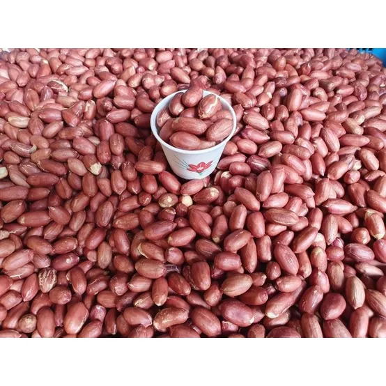 초록들 볶은땅콩알 국산 1KG 썸네일 2