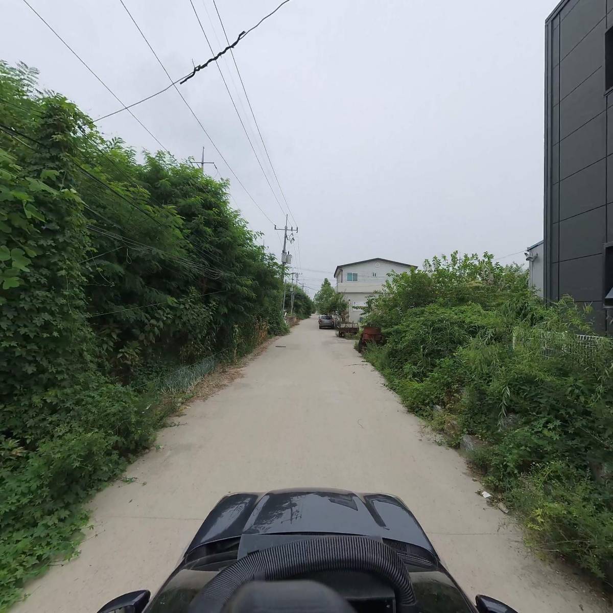 쥐포스틱 썸네일 3