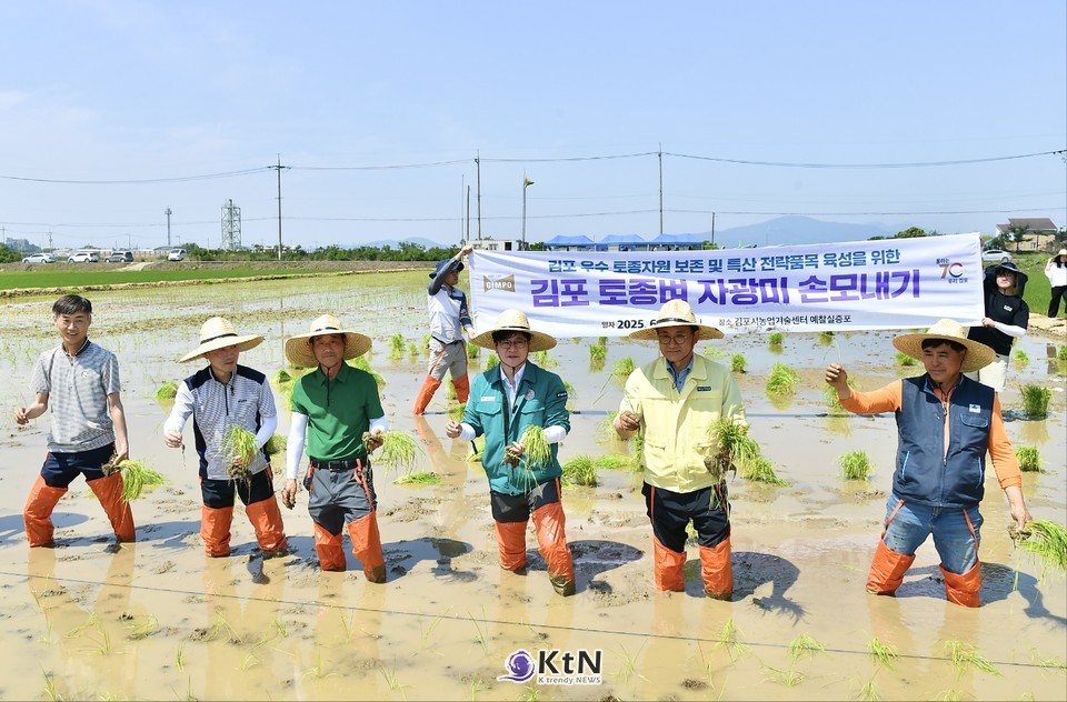 토종 밀가루 밀100% 1KG 썸네일 2
