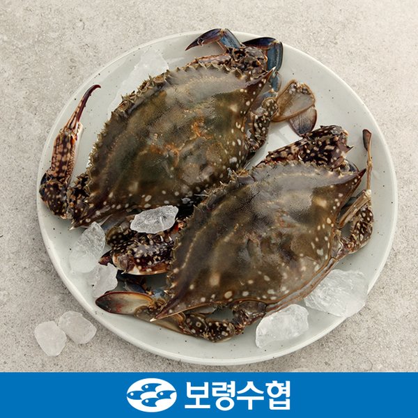 보령황석어젓 2KG 썸네일 2