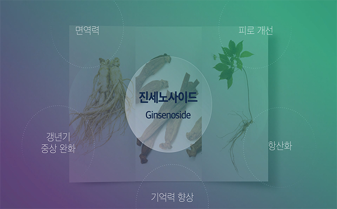 진세노파워(영문10개입) 썸네일 2