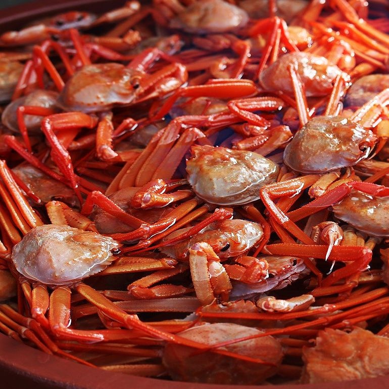 칠레산오징어채 6kg(5kg) 80% 썸네일 2