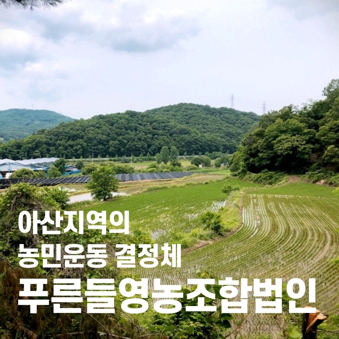 정길남당찬여주환150g 썸네일 2