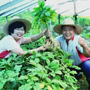 하심정 횡성더덕순액99.9(10) 썸네일 2