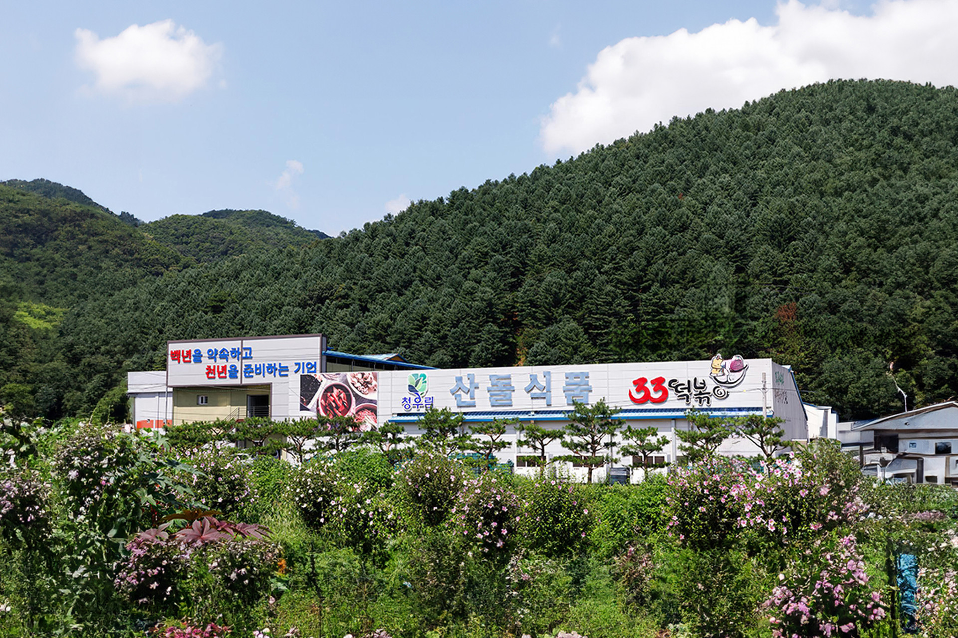 청우림감자수제비 썸네일 3