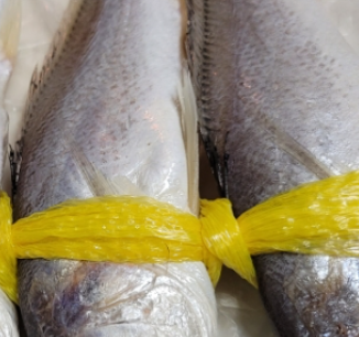 긴가이석태 1.2kg 썸네일 3