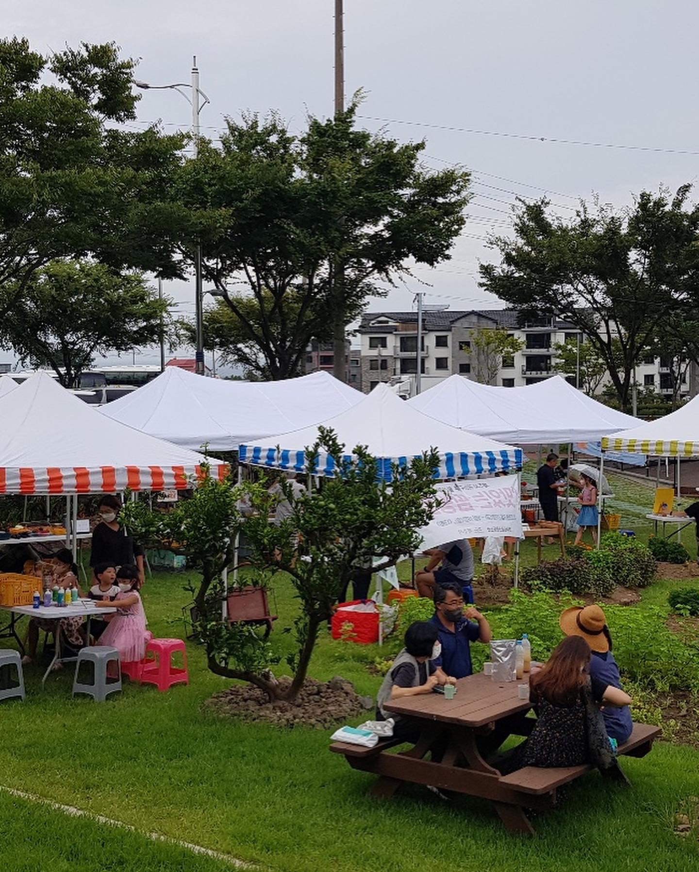 TROO 생배 그대로 썸네일 2