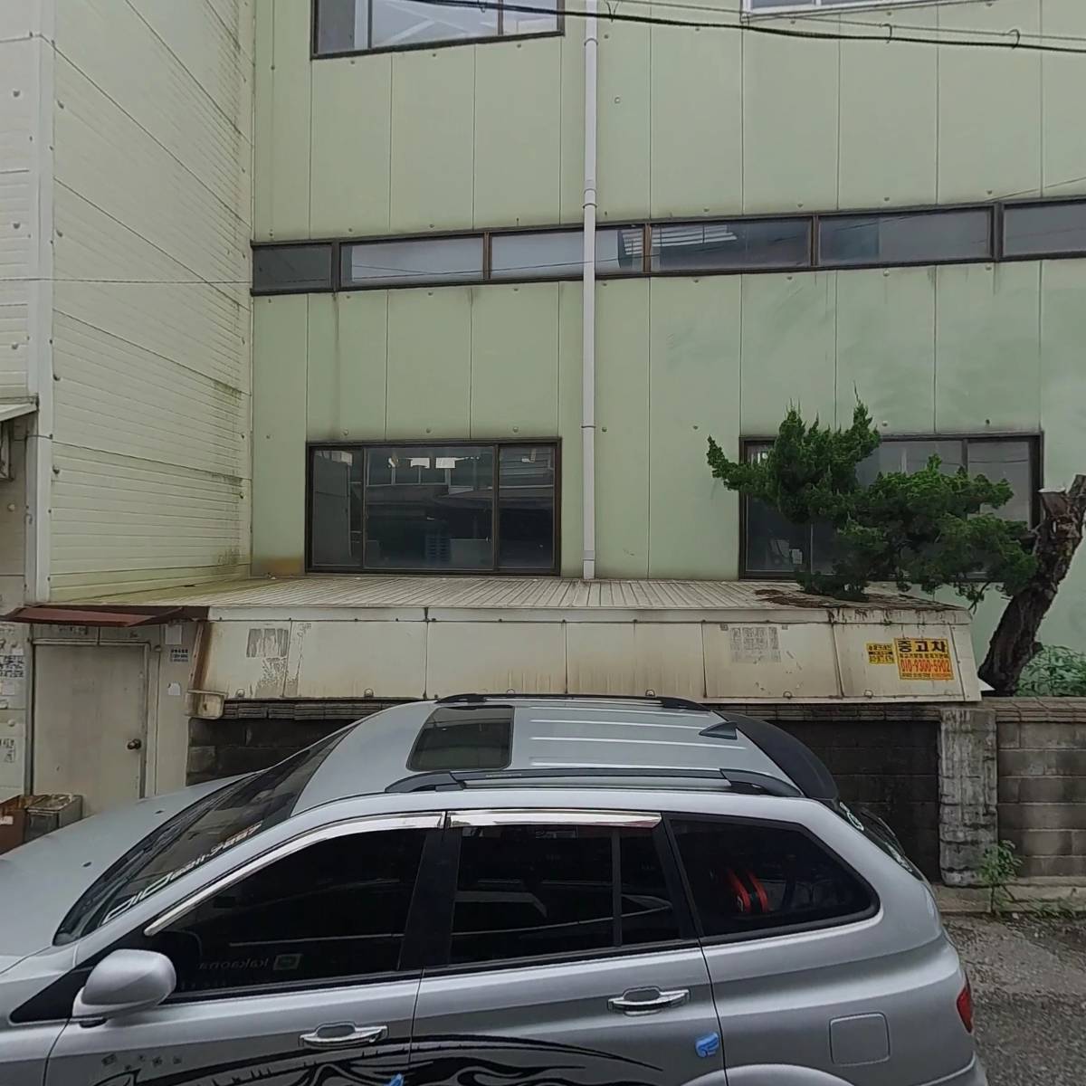 진성생칼국수 썸네일 2