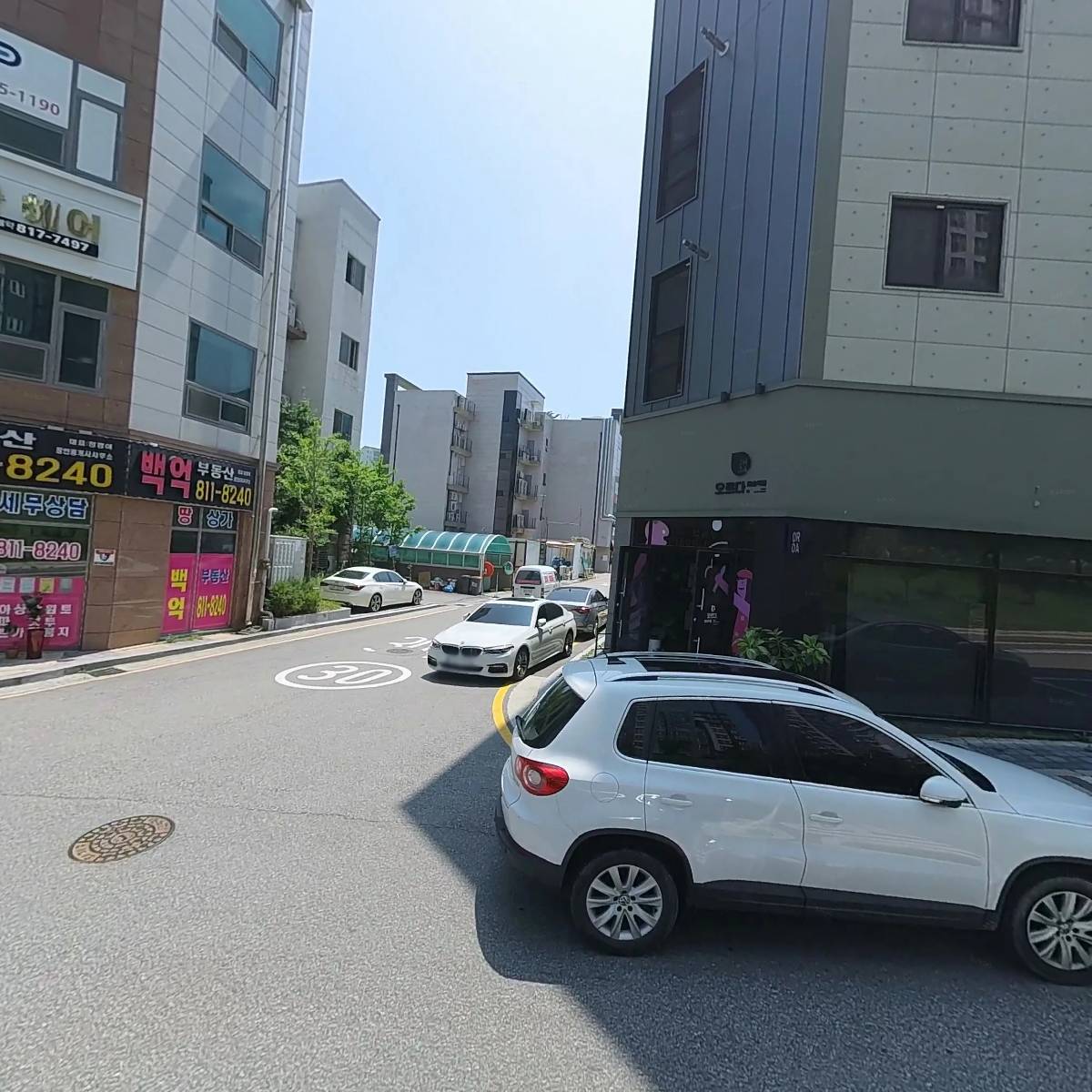 동태전 썸네일 3