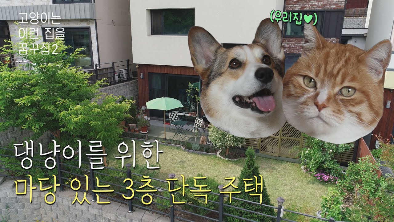 아리랑은고양이들 내가주인 썸네일 3