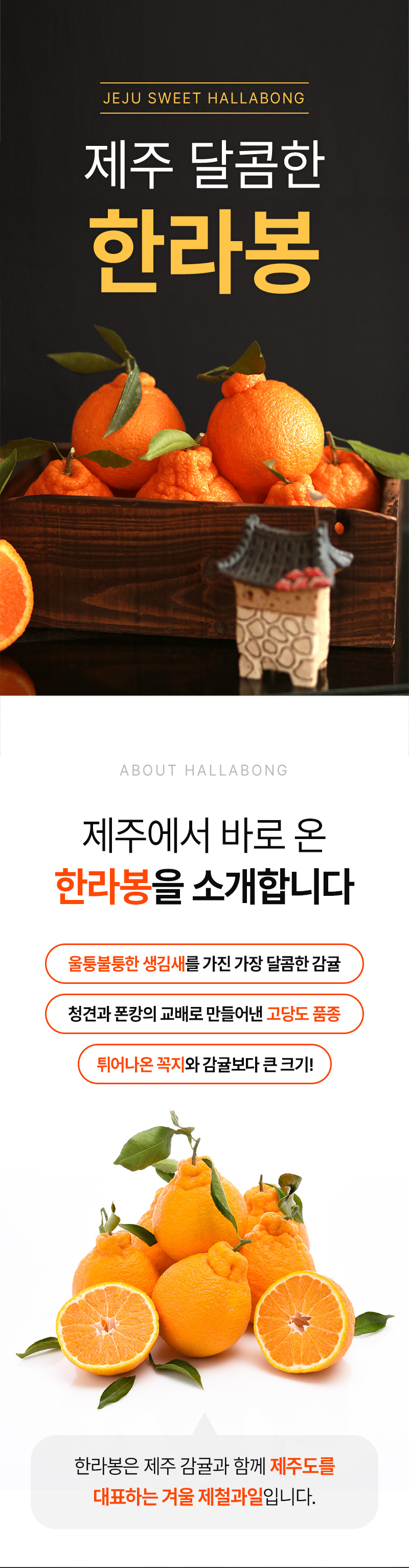제주하르방한라봉초콜릿 105 썸네일 2