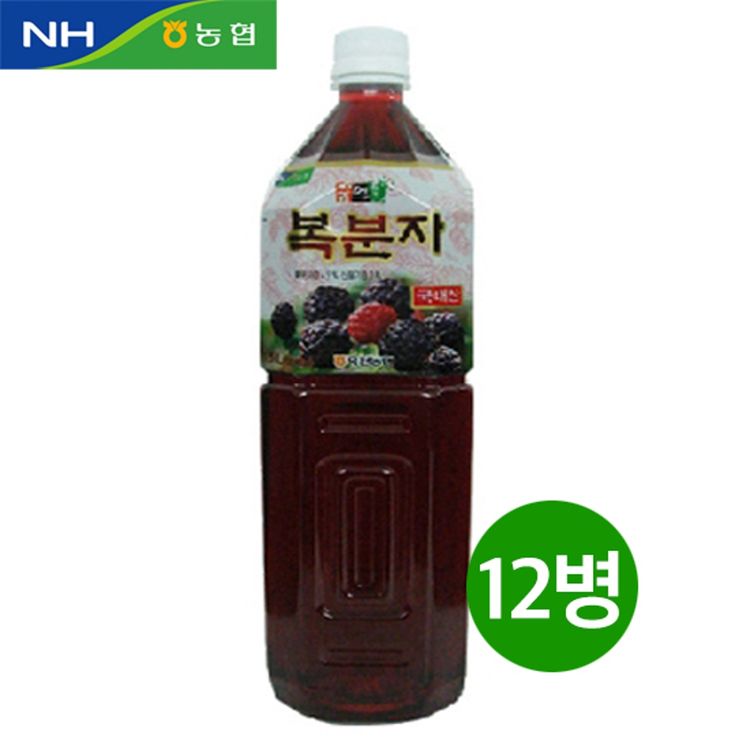 옥천농협 꿈엔들 복분자 180ml 썸네일 3