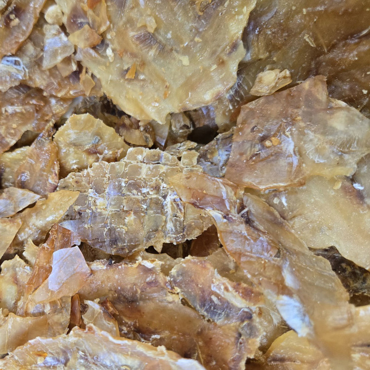 구운쥐포 썸네일 3