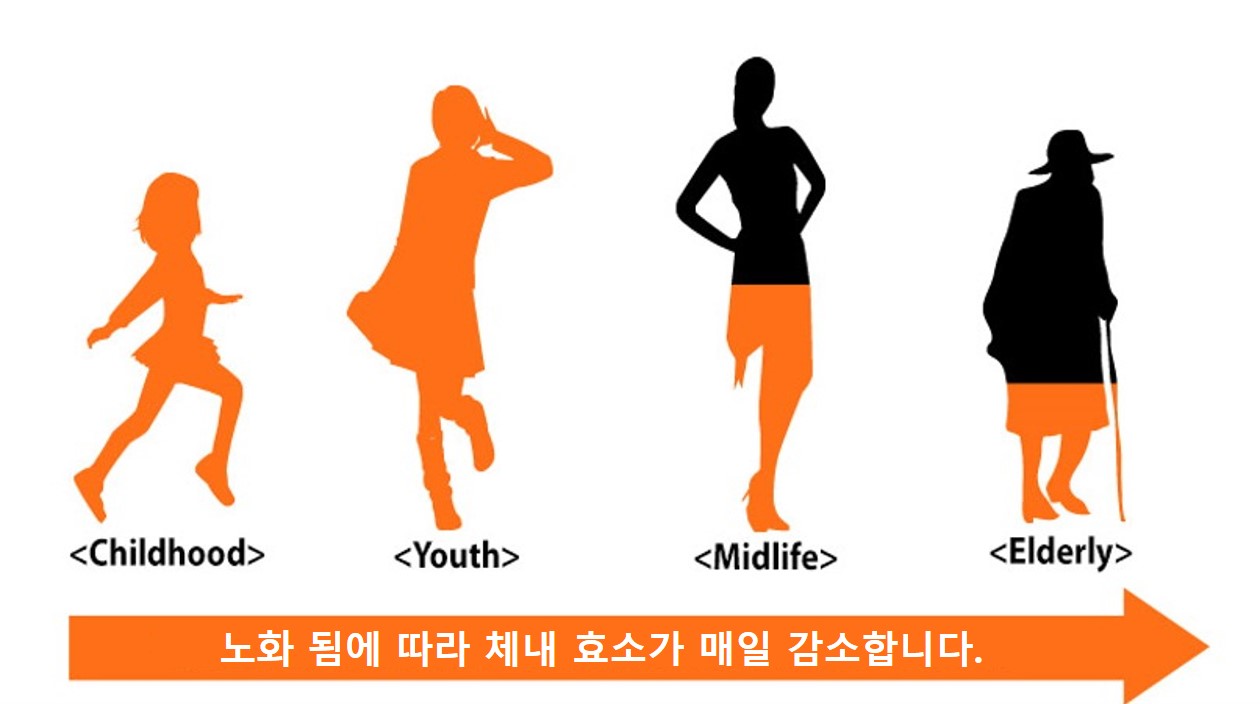 효소장력 썸네일 3